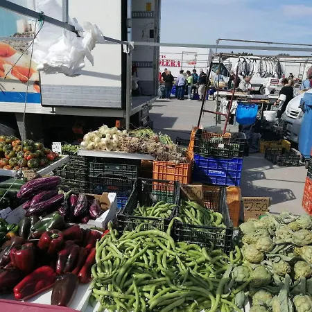 Francisco Casanovas شقة تورّيفيِخا