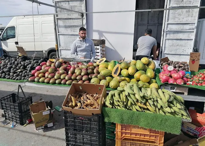 Francisco Casanovas * تورّيفيِخا