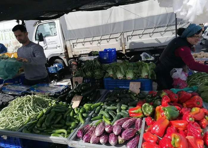 Francisco Casanovas * تورّيفيِخا