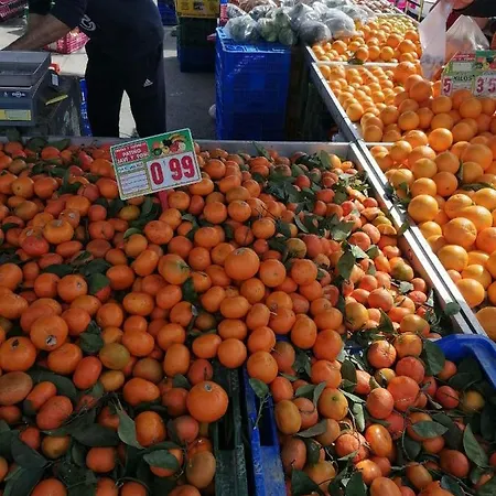 Francisco Casanovas *