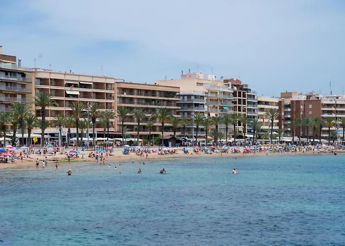 Daire Francisco Casanovas *