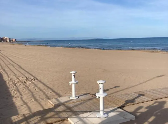 Francisco Casanovas Torrevieja