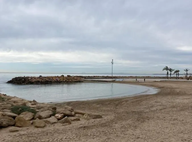 Francisco Casanovas *