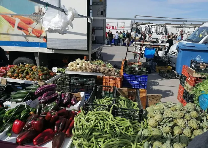 Francisco Casanovas Appartement Torrevieja