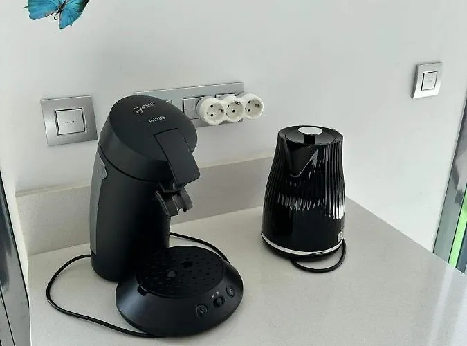 Daire Francisco Casanovas *