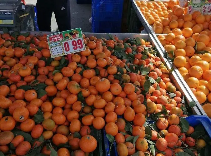 Francisco Casanovas *