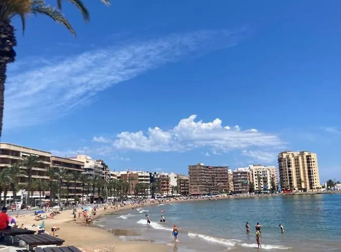 Francisco Casanovas Daire Torrevieja