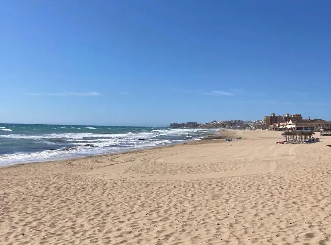 Daire Francisco Casanovas *