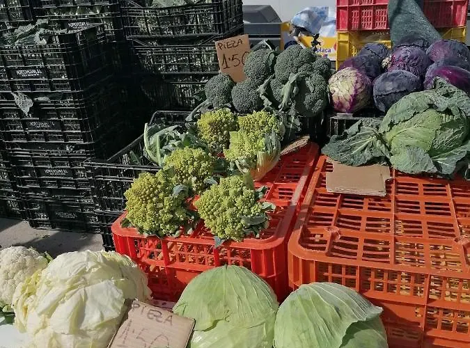 Francisco Casanovas Appartement *