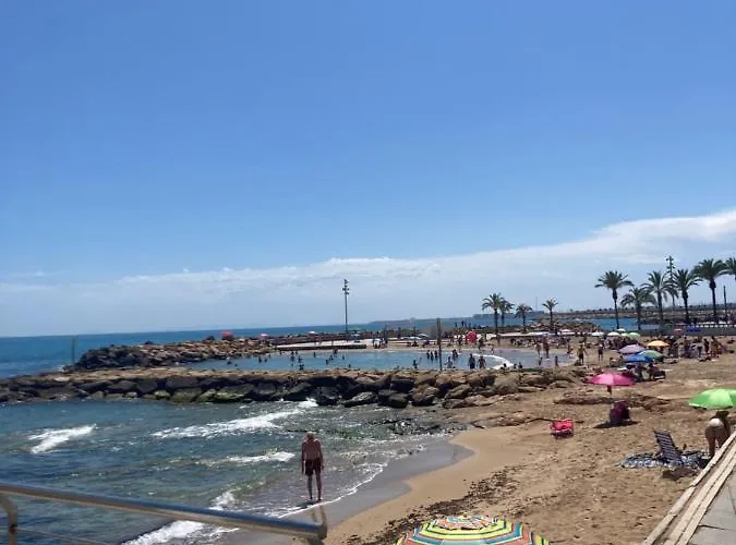 Francisco Casanovas Torrevieja