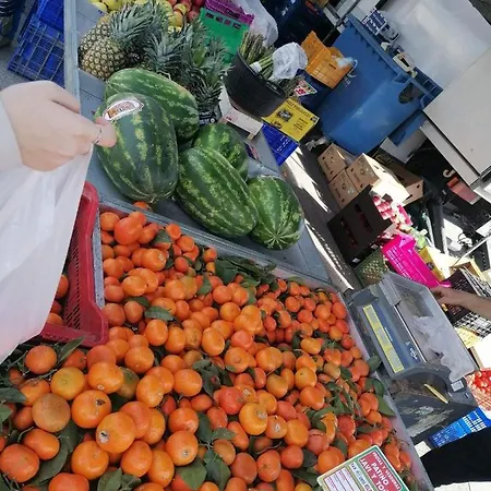 Francisco Casanovas *