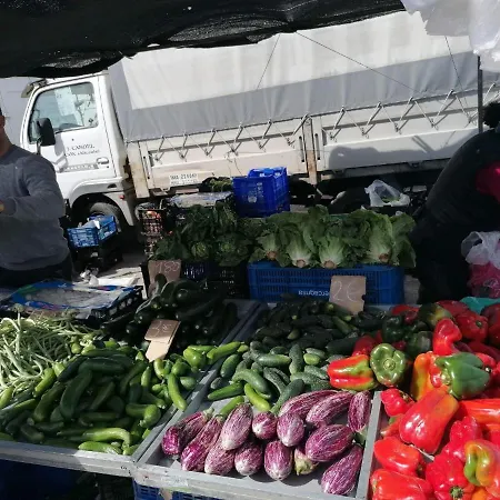 Francisco Casanovas * Τορεβιέχα