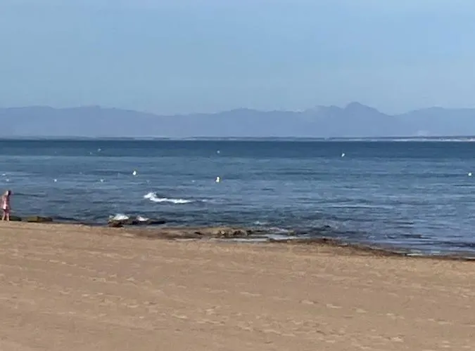 Francisco Casanovas Torrevieja