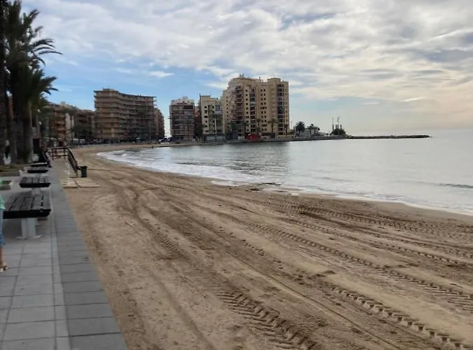 Lägenhet Francisco Casanovas Torrevieja